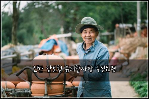 신한 암보험 유의할사항  구성요령