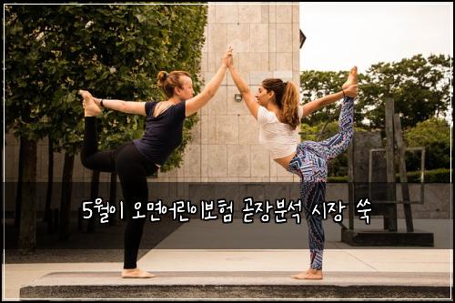 5월이 오면어린이보험 곧장분석  시장 쑥