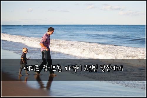 메리츠 정기보험 가격이 고민인 당신에게