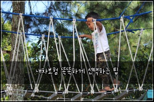 내차보험 똑똑하게 선택하는 팁