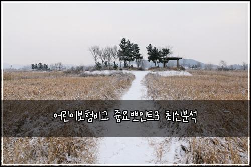어린이보험비교 즁요뽀인트3 최신분석
