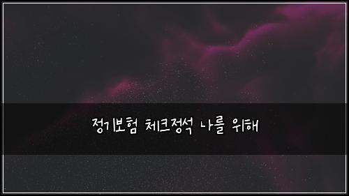 정기보험 체크정석  나를 위해