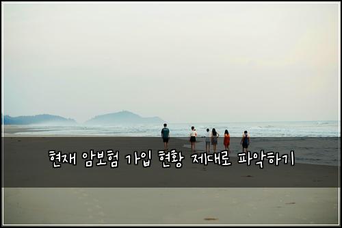 현재 암보험 가입 현황 제대로 파악하기