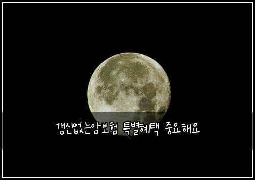 갱신없는암보험 특별혜택  중요해요
