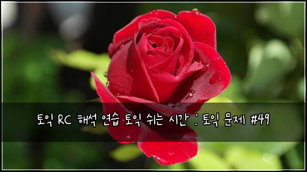 토익 RC 해석 연습 토익 쉬는 시간 : 토익 문제 #49