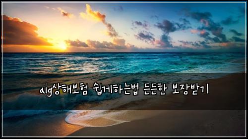 aig상해보험 쉽게하는법  든든한 보장받기