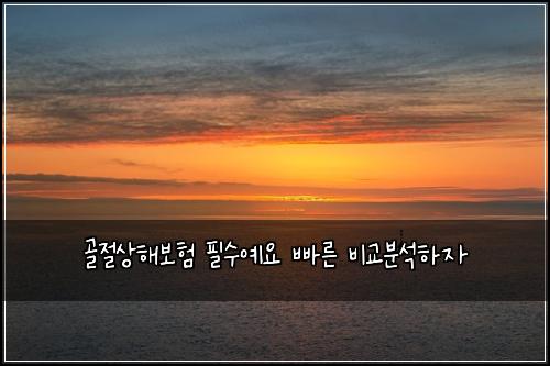 골절상해보험 필수예요  빠른 비교분석하자