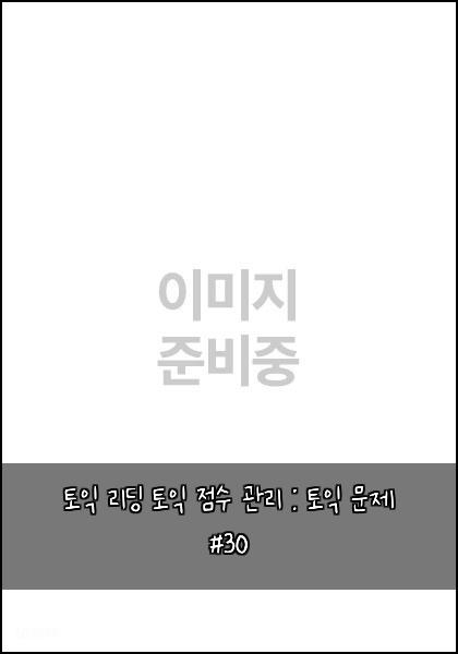 토익 리딩 토익 점수 관리 : 토익 문제 #30