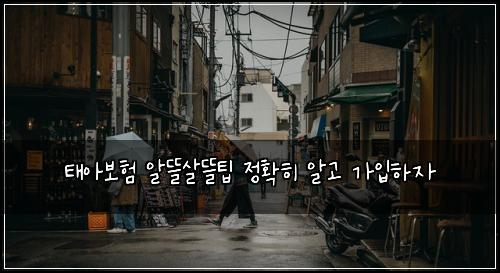 태아보험 알뜰살뜰팁  정확히 알고 가입하자