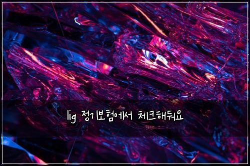 lig 정기보험에서 체크해둬요