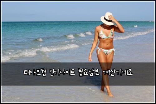 태아보험 인기사이트  필요담보 계산기에요