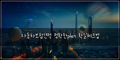 자동차보험견적 정확한plan 확실체크법