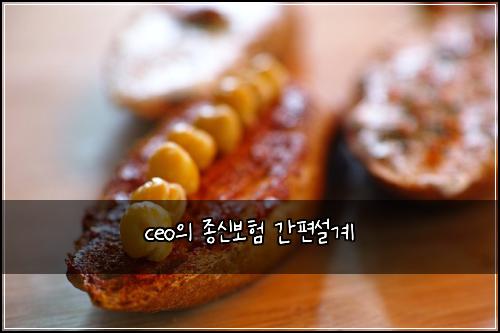 ceo의 종신보험 간편설계 