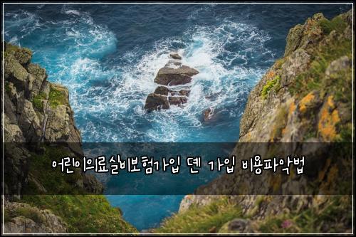 어린이의료실비보험가입 뎬 가입 비용파악법