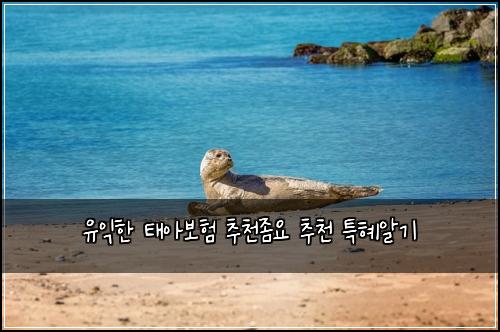 유익한 태아보험 추천좀요  추천 특혜알기