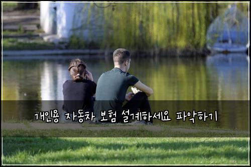 개인용 자동차 보험 설계하세요  파악하기