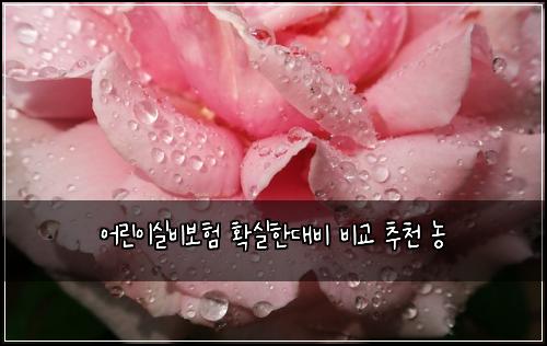 어린이실비보험 확실한대비  비교 추천 농