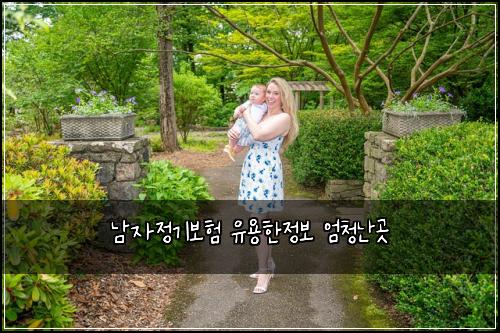 남자정기보험 유용한정보  엄청난곳