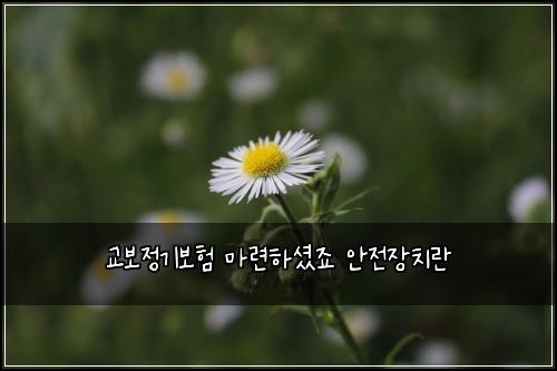 교보정기보험 마련하셨죠  안전장치란