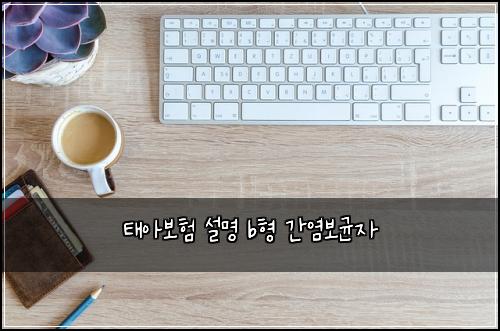 태아보험 설명  b형 간염보균자