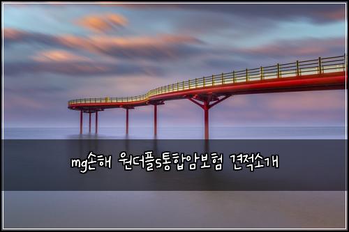 mg손해 원더플s통합암보험 견적소개 