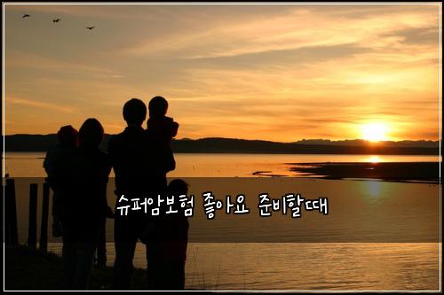 슈퍼암보험 좋아요  준비할때