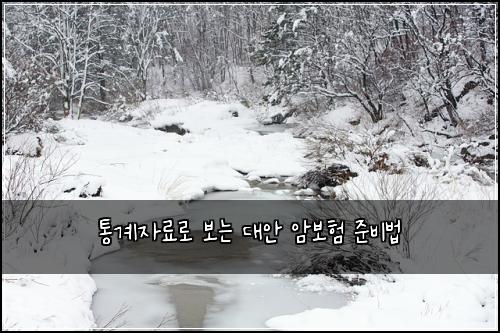 통계자료로 보는 대안 암보험 준비법