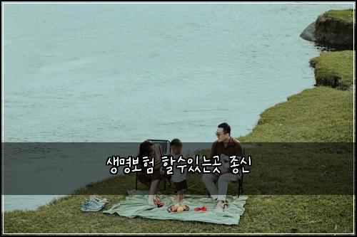 생명보험 할수있는곳  종신