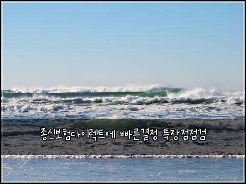종신보험다이렉트에 빠른결정 특장점점검