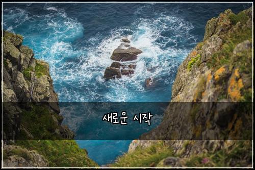 새로운 시작