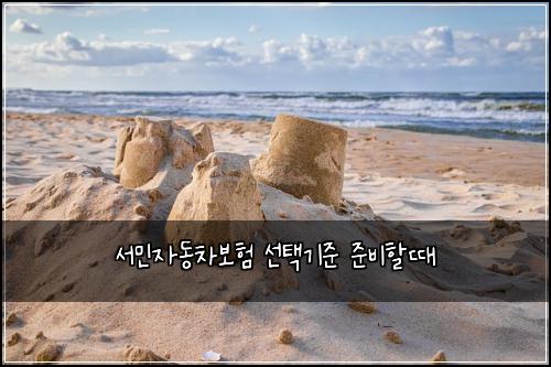 서민자동차보험 선택기준  준비할때