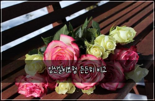 임신실비보험 든든히  비교