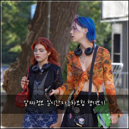 알짜정보 실시간자동차보험 챙겨보기
