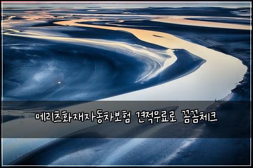 메리츠화재자동차보험 견적무료로  꼼꼼체크