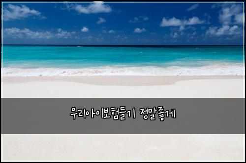 우리아이보험들기 정말좋게