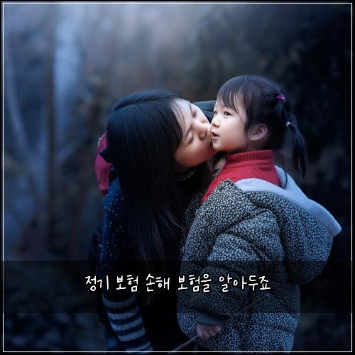 정기 보험 손해 보험을 알아두죠