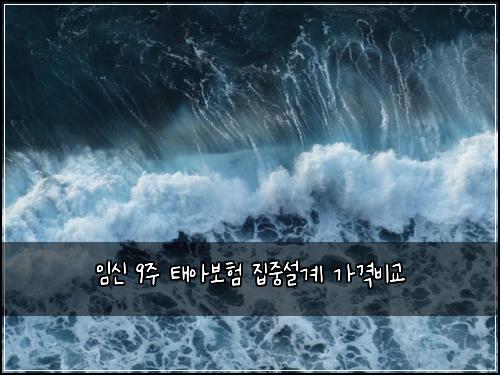 임신 9주 태아보험 집중설계  가격비교