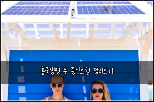 흥국생명 무 종신보험 정리보기 