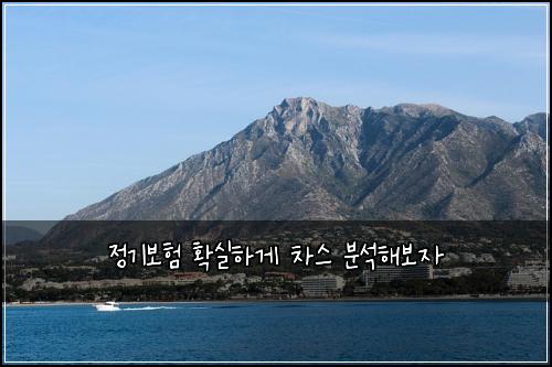 정기보험 확실하게  차스 분석해보자