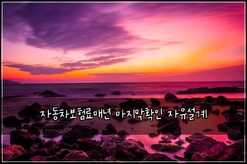 자동차보험료매년 마지막확인 자유설계