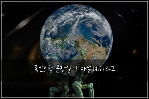 종신보험 곧장알기  재설계하려고
