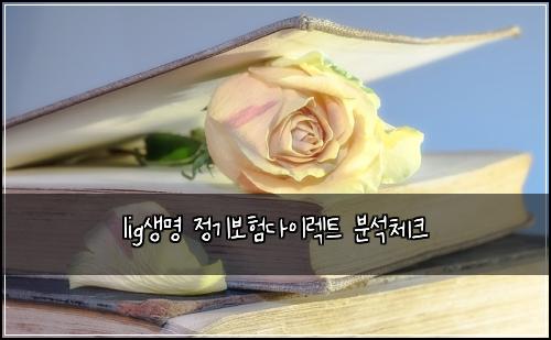 lig생명 정기보험다이렉트 분석체크