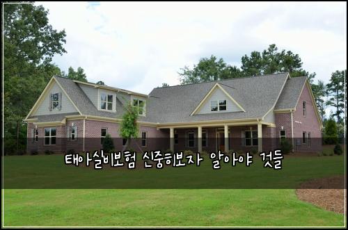 태아실비보험 신중히보자  알아야 것들