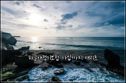 하늘애정기보험 가입까지  매리츠