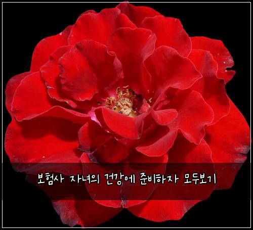 보험사 자녀의 건강에 준비하자 모두보기