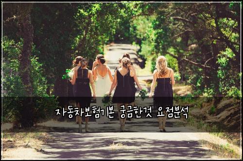 자동차보험기본 궁금한것 요점분석