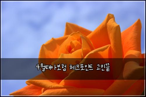 4์ํ์๋ณดํ ์ฒดํฌํฌ์ธํธ ๊ณ ๋ฏผ๋