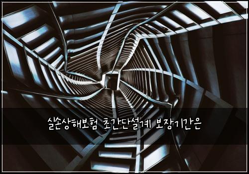 실손상해보험 초간단설계  보장기간은
