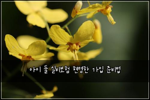 아이 둘 실비보험 현명한 가입 준비법