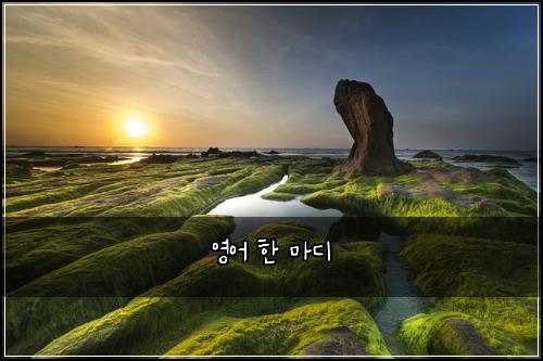 영어 한 마디